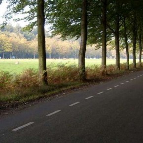 Utrecht zoekt milieuvriendelijke oplossingen voor asfalt